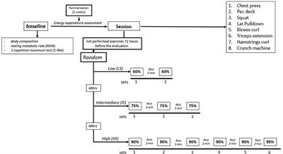 Acute Behavior of Oxygen Consumption, Lactate Concentrations, and Energy Expenditure During Resistance Training: Comparisons Among Three Intensities